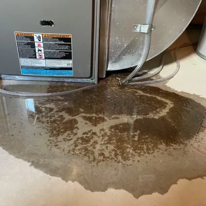 Appliance Leak Cleanup in Bureau County, IL